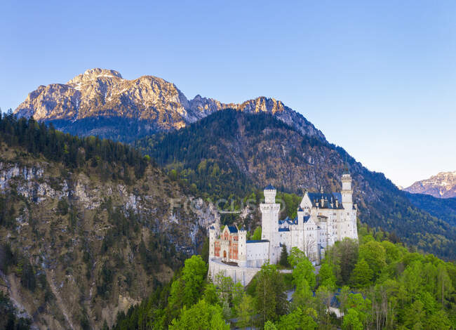 Germania, Baviera, Hohenschwangau, Drone vista della montagna Sauling e Castello di Neuschwanstein — Foto stock