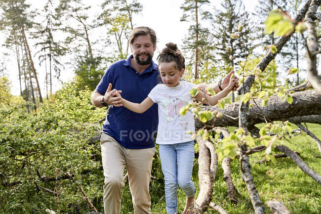 Улыбающийся мужчина держит за руки дочь, идущую по упавшему дереву в лесу — стоковое фото