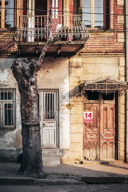Georgia, Imereti, Kutaisi, Albero morto di fronte al vecchio edificio — Foto stock