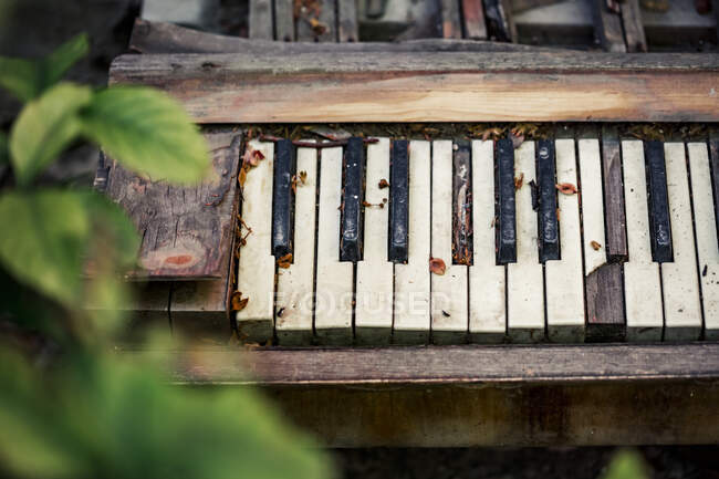 Viejo piano roto en el patio trasero - foto de stock
