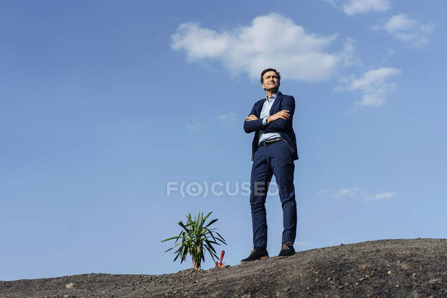 Впевнений зрілий бізнесмен стоїть на невикористаному кінчику шахти поруч з рослиною — стокове фото