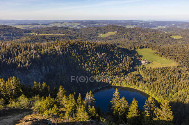 Германия, Феттемберг, Фетберг, Живописный вид на озеро Озеро и окружающий лес — стоковое фото