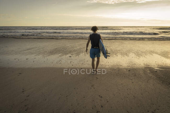 Costa Rica, Provincia de Puntarenas, Puntarenas, Vista trasera del surfista masculino caminando hacia el océano con la tabla de surf en la mano - foto de stock