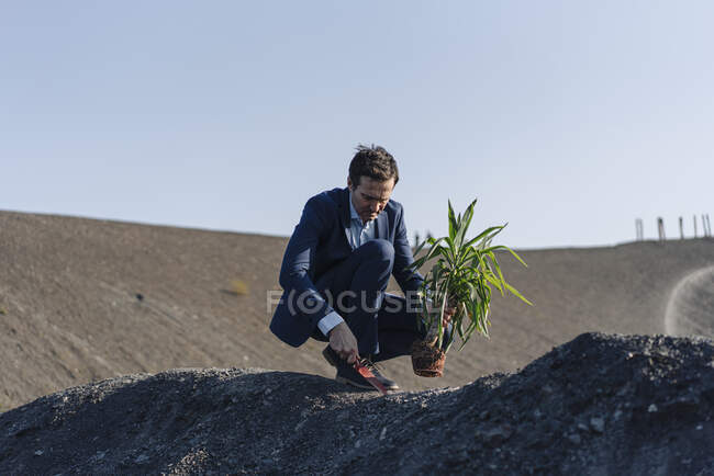 Uomo d'affari maturo piantare una pianta su una punta miniera in disuso — Foto stock