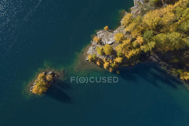 Suiza, Cantón de los Grisones, Saint Moritz, Drone vista de los alerces en la pequeña isla en el lago Sils - foto de stock