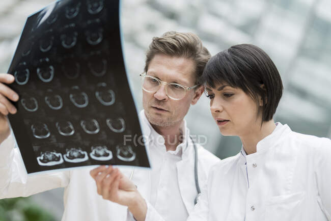 Two doctors looking at x-ray images — Stock Photo