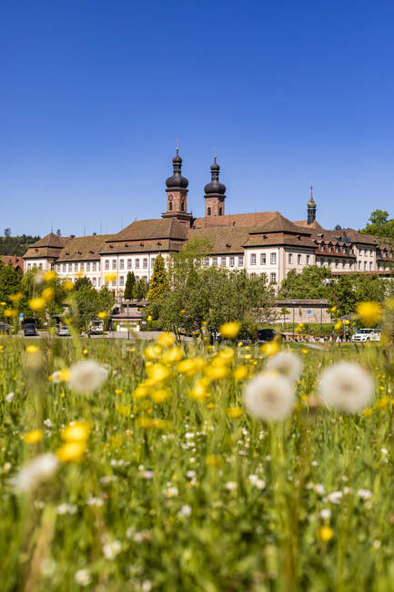 Alemania, Baden-Wurttemberg, Sankt Peter, prado de primavera frente a la Abadía de San Pedro en la Selva Negra - foto de stock