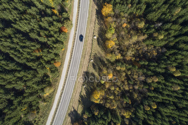 Alemania, Baden-Wurttemberg, Drone vista de la carretera que corta a través del bosque de otoño en los Alpes suabios - foto de stock