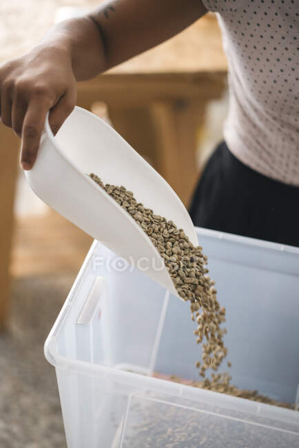 Close-up of woman pouring coffee beans into a plastic box — Stock Photo