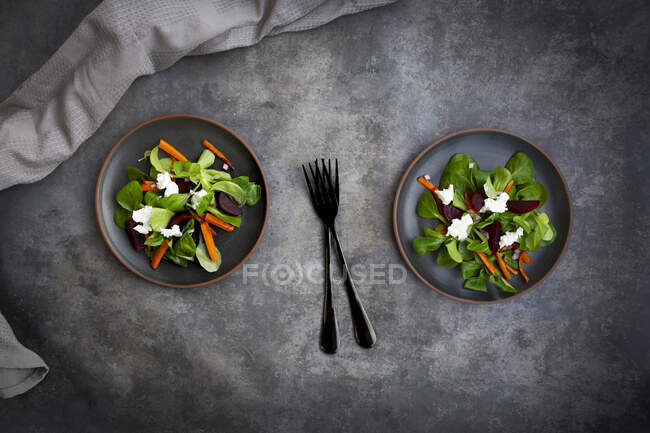 Plates of corn salad with roasted carrot strips, beetroot, Spanish onions and goat cream cheese — Stock Photo