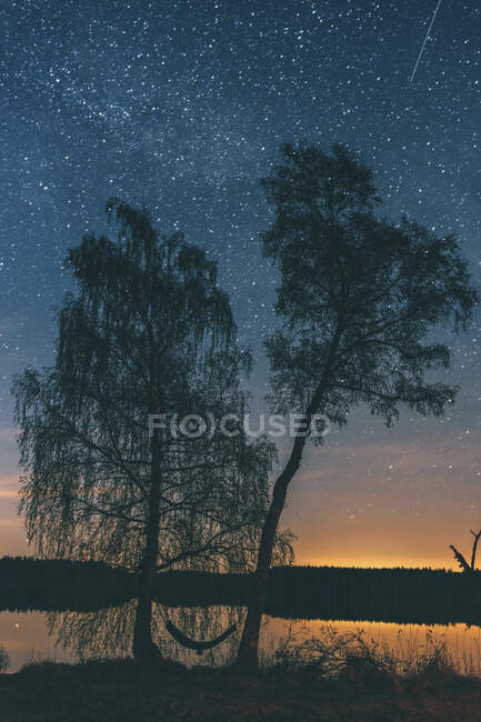 Starry sky over trees in Sodermanland, Nykoping, Sweden — Stock Photo