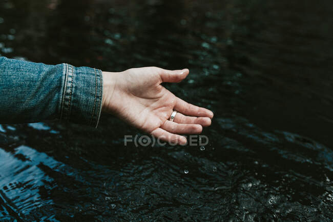 Alemania, Mujer joven mojando la mano en el estanque - foto de stock