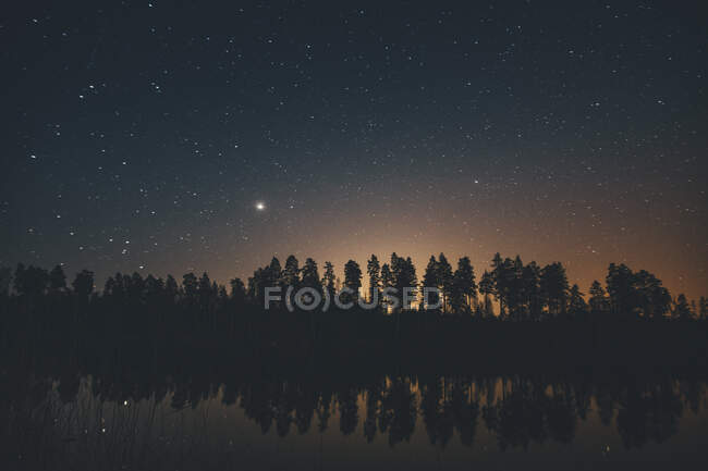 Sternenhimmel über Bäumen in Sodermanland, Nykoping, Schweden — Stockfoto