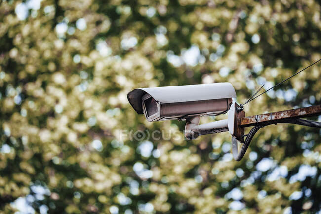 Крупный план камеры безопасности на дереве — стоковое фото