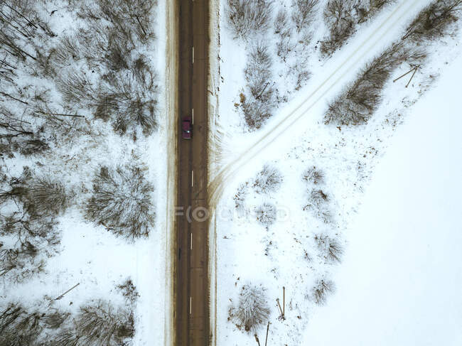 Russia, Oblast 'di Mosca, Veduta aerea di alberi spogli che circondano l'autostrada di campagna in inverno — Foto stock