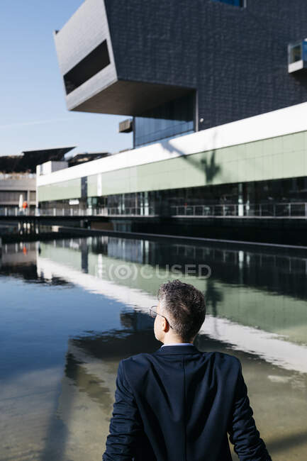 Vue arrière og homme d'affaires aux cheveux gris assis à une piscine dans la ville — Photo de stock