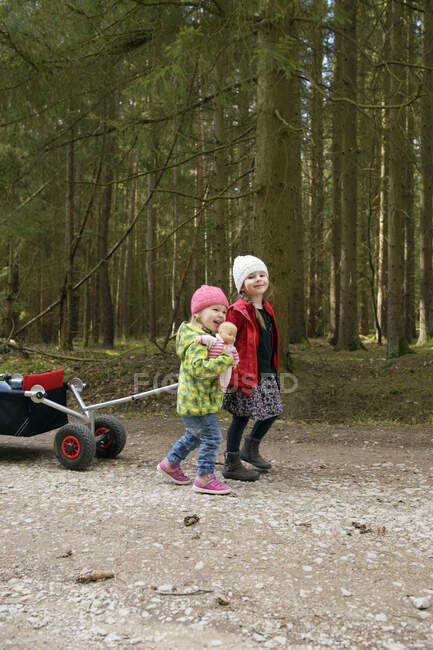 Deux petites sœurs tirant le chariot sur la piste forestière — Photo de stock