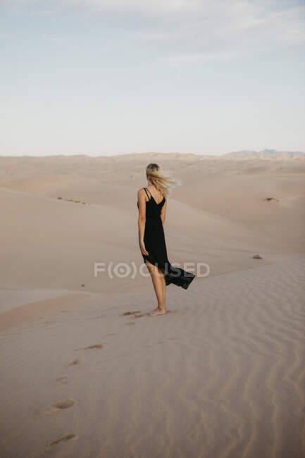 Vue arrière de la femme blonde debout sur une dune de sable, Algodones Dunes, Brawley, États-Unis — Photo de stock