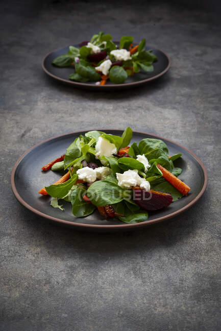 Plates of corn salad with roasted carrot strips, beetroot, Spanish onions and goat cream cheese — Stock Photo