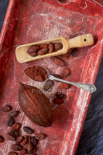 Allemagne, cuillère de poudre de cacao, cuillère à soupe et fèves de cacao — Photo de stock