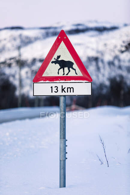 Elk crossing road sign in winter, Lebesby, Noruega — Fotografia de Stock