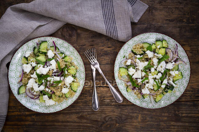 Two plates of vegetarian salad with cucumbers, quinoa, feta cheese, red onions and mint — Stock Photo
