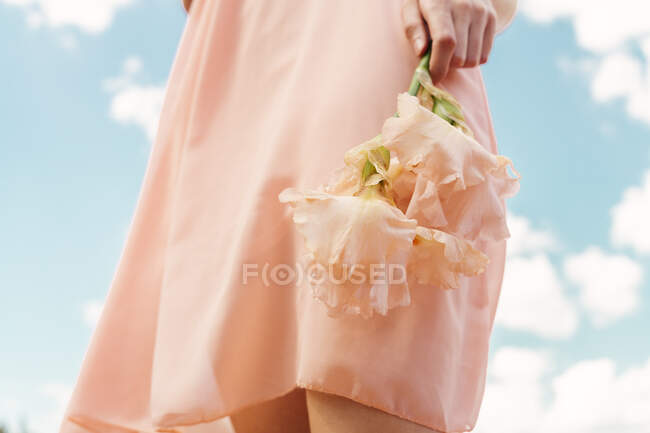 Main de femme tenant fleur rose — Photo de stock