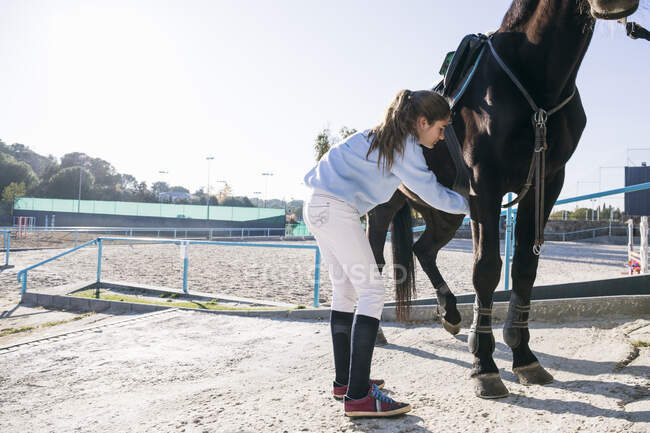 Young girl putting equipment while preparing horse to ride on training ground — Stock Photo