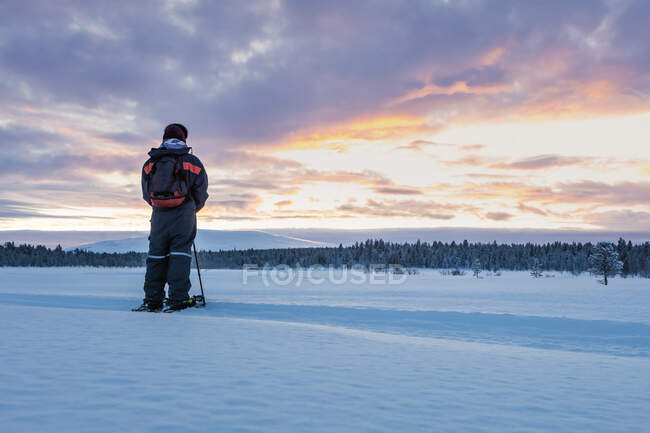 Vista traseira do caminhante sapato de neve na paisagem de inverno, Sotkajarvi, Enontekioe, Finlândia — Fotografia de Stock