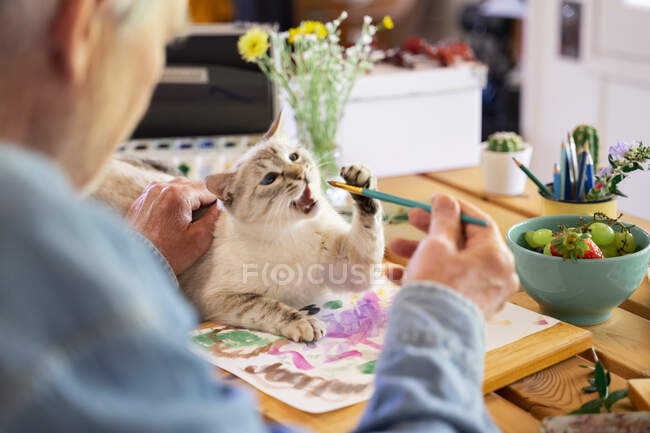 Senior füttert Katze zu Hause mit Pinsel — Stockfoto