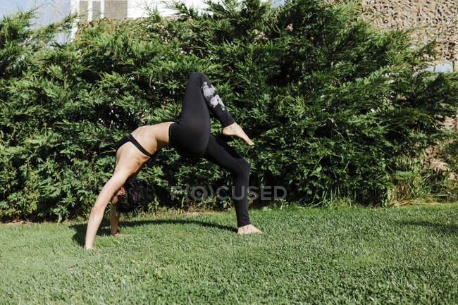 Mujer madura practicando la pose de rueda por las plantas en el jardín durante el día soleado - foto de stock