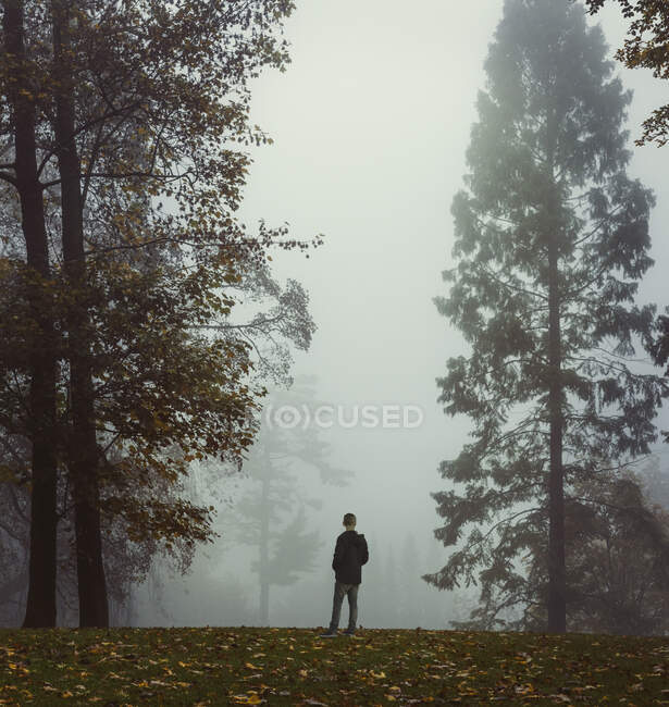 Германия, Северный Рейн-Вестфалия, Вупперталь, Человек в туманном осеннем лесу — стоковое фото
