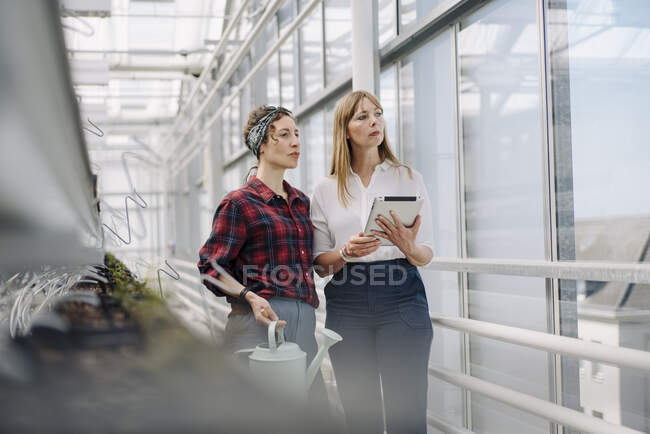 Gardener and businesswoman using tablet in greenhouse of a gardening shop — Stock Photo