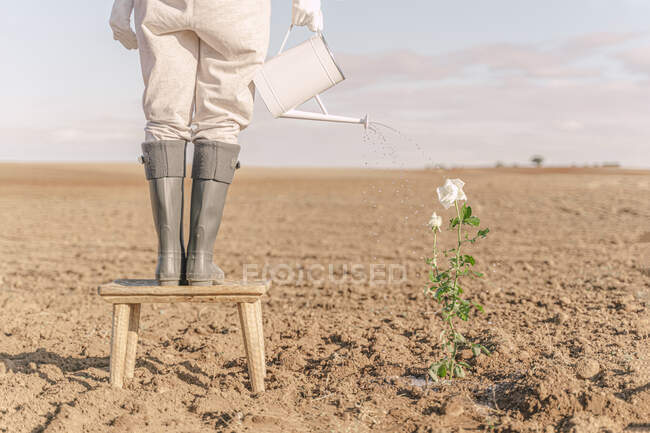 Woamn standing on stool, watering flower on barren field — Stock Photo