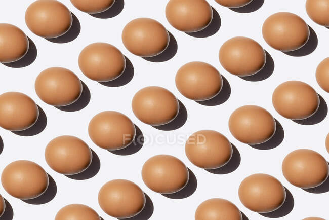 Patrón de huevos de pollo contra fondo blanco - foto de stock