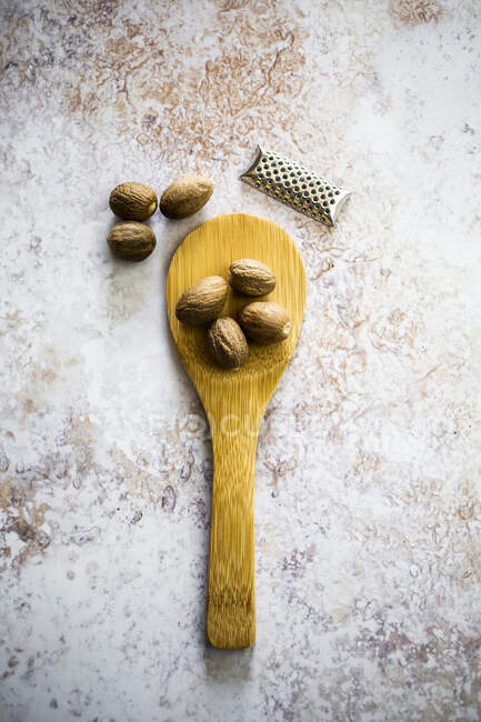 Nutmeg on wooden spoon and grater — Stock Photo
