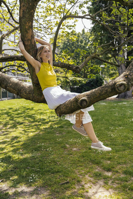 Femme heureuse assise dans un arbre dans un parc — Photo de stock