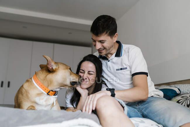 Cão beijando mulher por homem na cama em casa — Fotografia de Stock