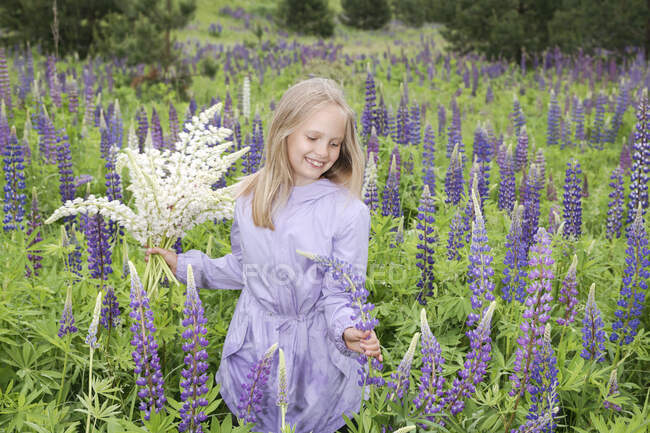 Портрет щасливої дівчини в фіолетовому пальто, що збирає люпин на полі — стокове фото