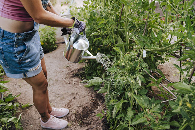 Woman watering plants while standing in vegetable garden — Stock Photo