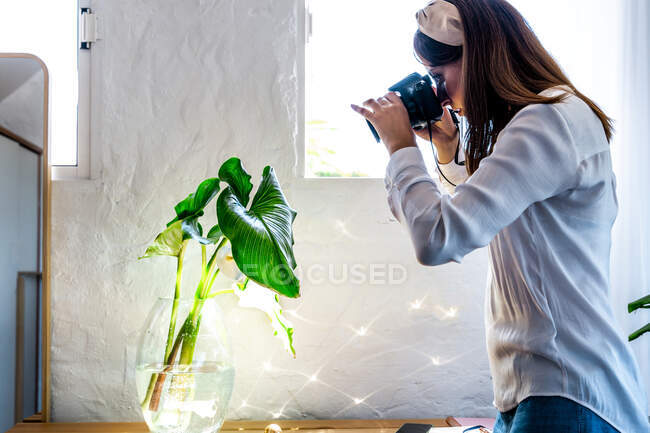 Женщина-фотограф фотографирует растение в стеклянной вазе дома — стоковое фото
