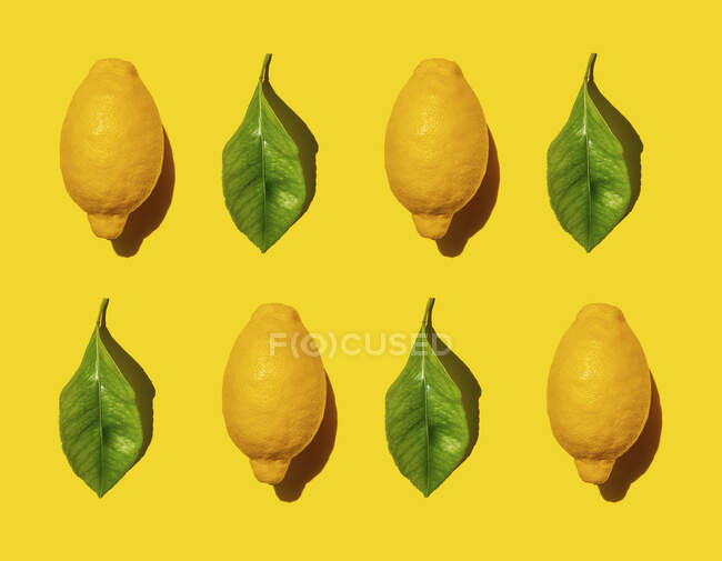 Pattern of ripe lemons and green leaves against yellow background — Stock Photo
