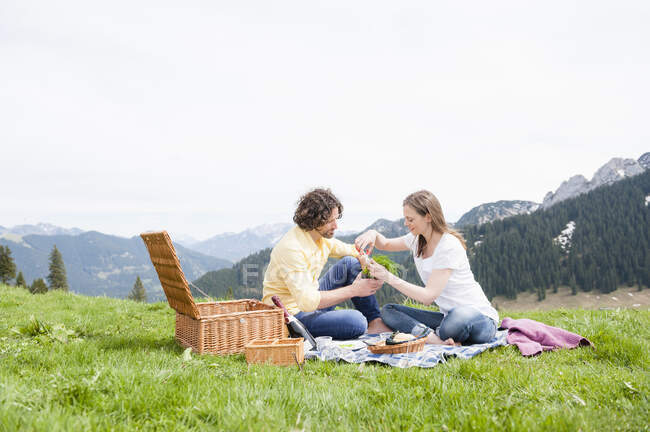 Metà coppia adulta godendo pic-nic su erba contro il cielo limpido — Foto stock