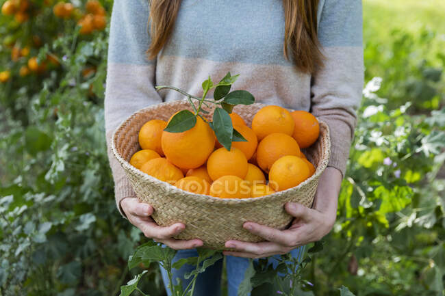 Gros plan d'une femme portant des oranges dans un panier en osier debout au milieu de plantes à la campagne — Photo de stock