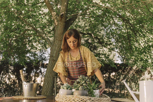 Mid adult woman arranging potted plants in tray on table against tree in yard — Stock Photo