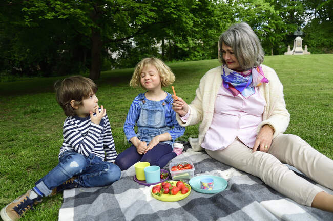 Grandmother enjoying picnic with grandchildren at public park — Stock Photo