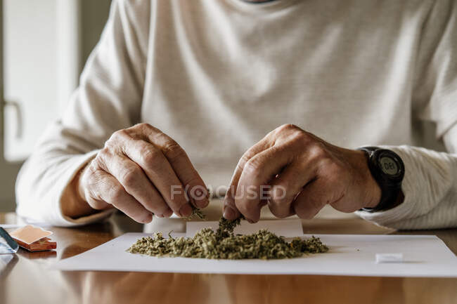 Midsection of retired elderly man preparing for rolling weed on paper at home — Stock Photo