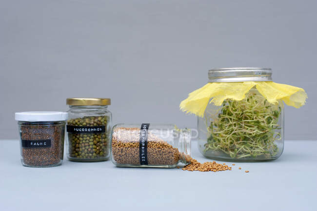 Frascos con varias semillas, frijoles y brotes - foto de stock