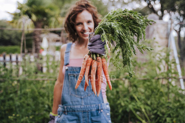 Sonriente mujer adulta medio sosteniendo zanahorias mientras está de pie en el huerto - foto de stock