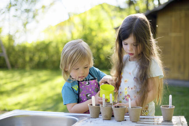 Милая девушка поливает растения во время садоводства с сестрой во дворе — стоковое фото